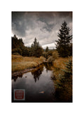 "Head of the River Roe, Glenshane Forest"